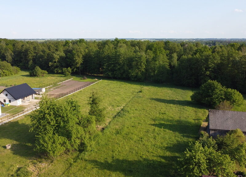 Siedlisko w gm. Kurów 35 km od Lublina.