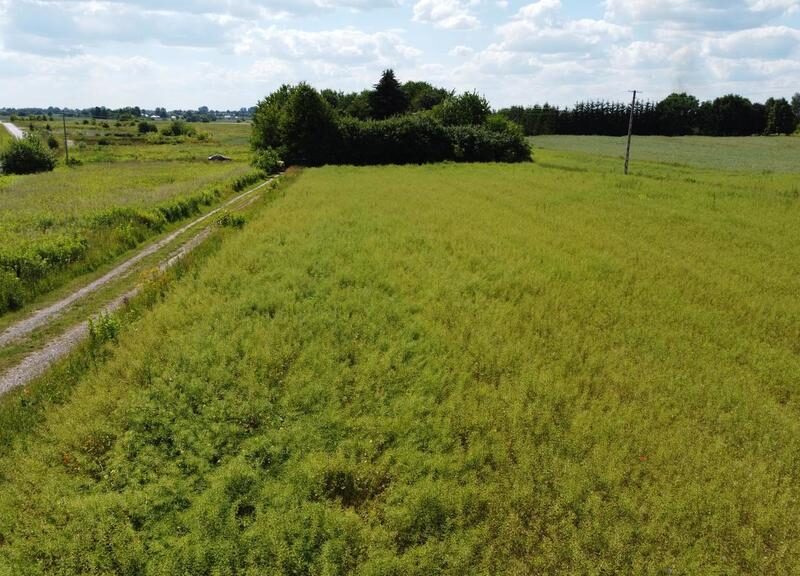 Snopków, 74ar, Gmina Jastków, Media - JASTKÓW, LUBELSKIE na SPRZEDAŻ