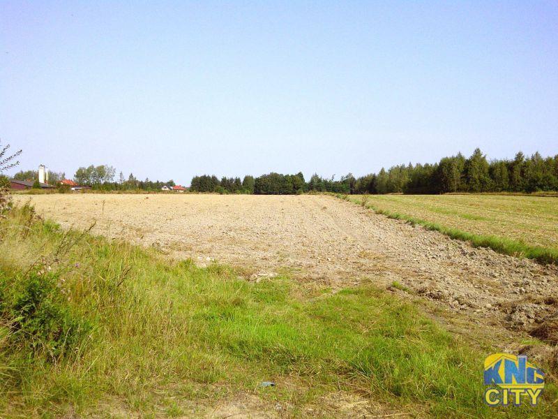 Oferuję działkę o pow. 1000m² pod dom jednorodzinny, położoną w Majdanie Krasienińskim na granicy z miejscowością Smugi. ~~Około 10 km od granic Lublina. Doskon- NIEMCE, LUBELSKIE na SPRZEDAŻ