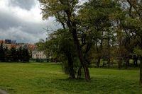 Centralnie położona działka o pow. 5500 m2 w Lublinie przy alei Unii Lubelskiej (Stare Miasto). Idealny, jedyny w swoim rodzaju, grunt pod inwestycję, budowę ap- LUBLIN, LUBELSKIE na SPRZEDAŻ