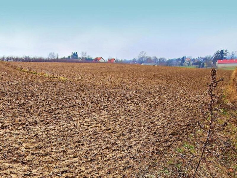 Tomaszowice - działka 20ar położona na wzniesieniu