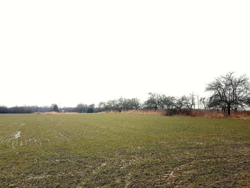 Uniszowice gm. Konopnica, 7800 m2 - KONOPNICA, LUBELSKIE na SPRZEDAŻ