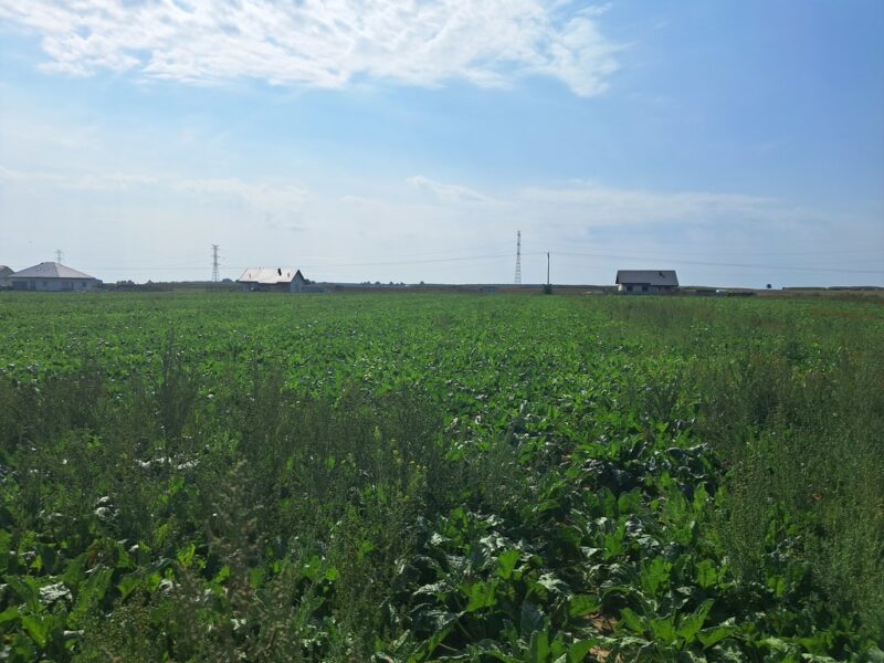 Uzbrojona działka. Gm. Puchaczów