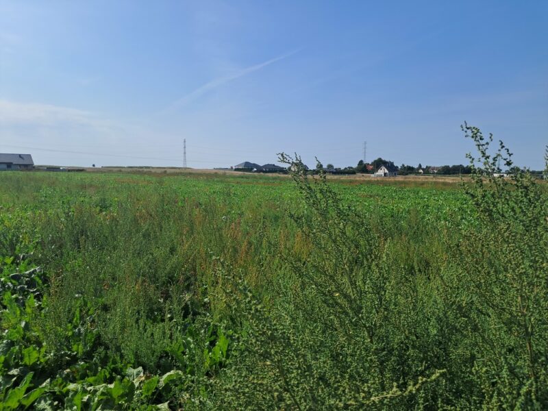 Uzbrojona działka. Gm. Puchaczów