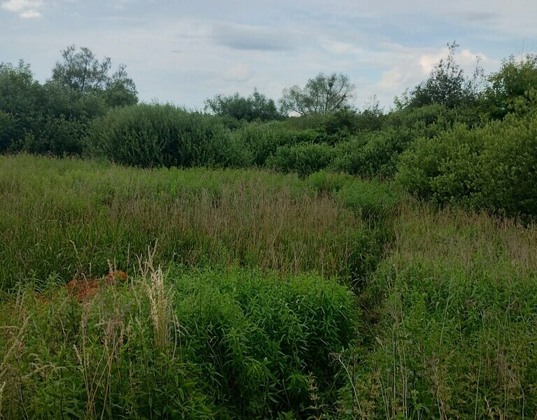 Działki przy stawie Borowiec m. Gołąb gm. Puławy.