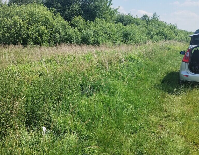 W pobliżu stawu Borowiec-malownicza części m.Gołąb - PUŁAWY, LUBELSKIE na SPRZEDAŻ