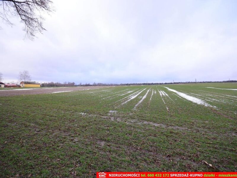 Wierciszów, działka budowlana MN, media.