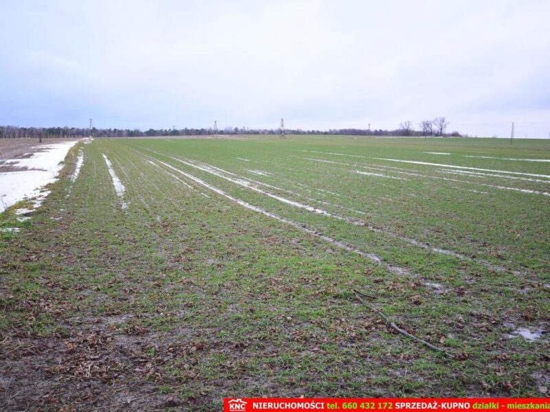 Wierciszów, działka budowlana MN, media. - JABŁONNA, LUBELSKIE na SPRZEDAŻ