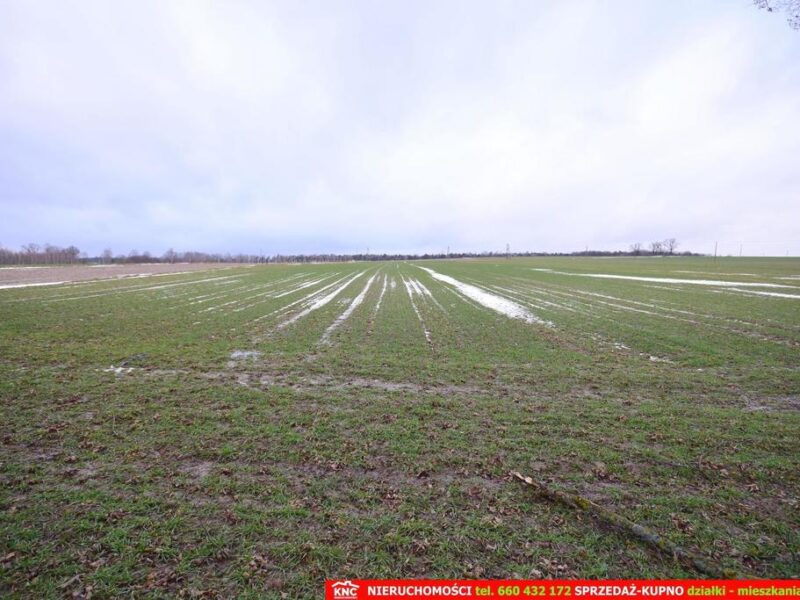Wierciszów, działka budowlana MN, media.