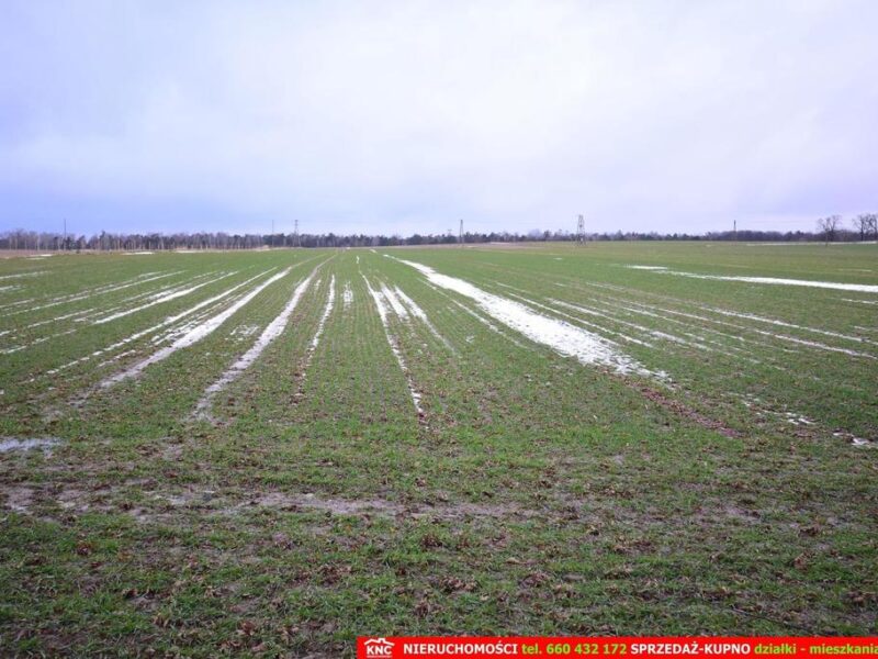 Wierciszów, działka budowlana MN, media. - JABŁONNA, LUBELSKIE na SPRZEDAŻ