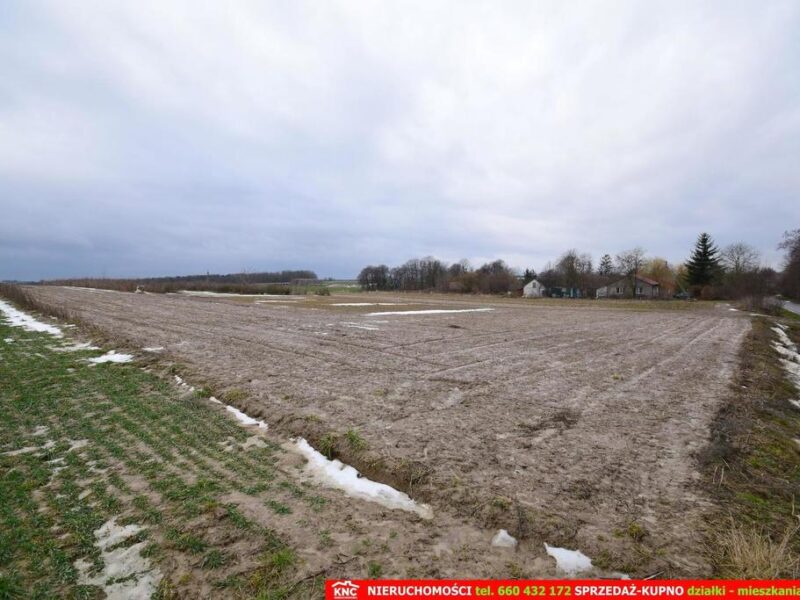 WIERCISZÓW gm. Jabłonna~polecam do zakupu atrakcyjne działki budowlane ( 2 x 4001 m² ) pod zabudowę mieszkaniową jednorodzinną MN. Działki zlokalizowane w 1 lin- JABŁONNA, LUBELSKIE na SPRZEDAŻ