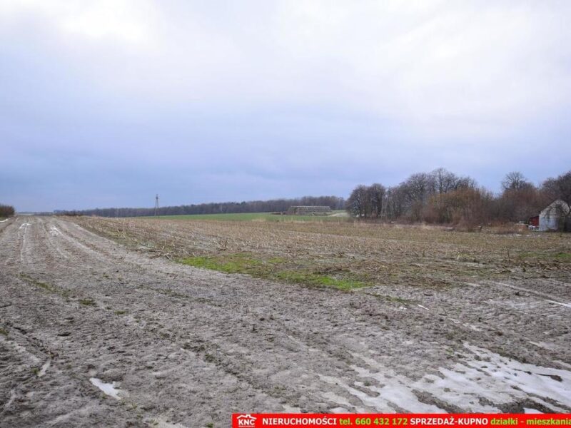 Wierciszów, działki budowlane MN, media 100%.