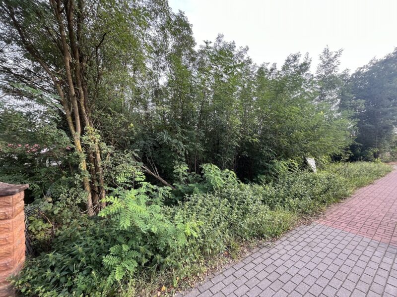 Wola Chodkowska gm. Kozienice - działka budowlana.