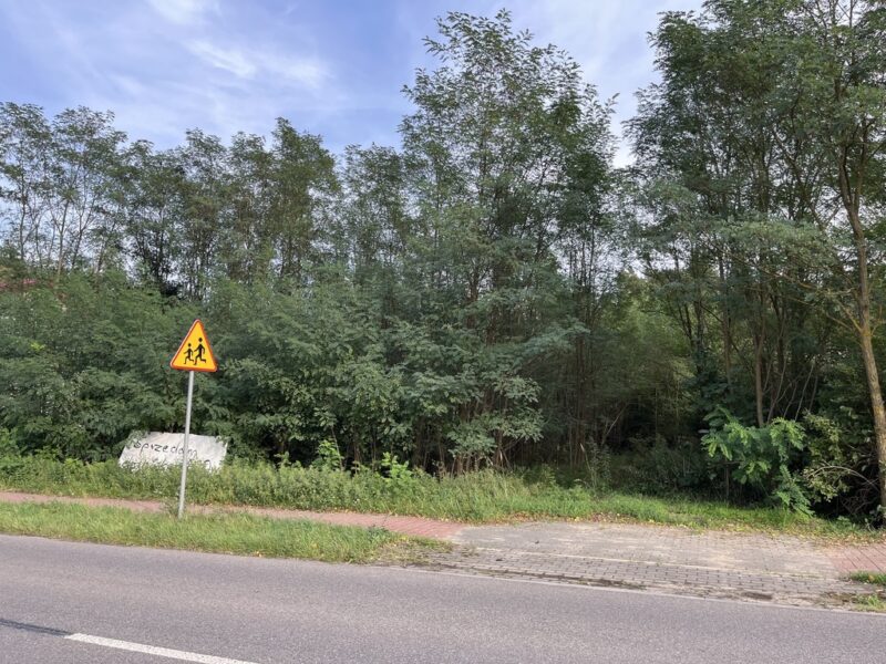Wola Chodkowska gm. Kozienice - działka budowlana. - WOLA CHODKOWSKA, MAZOWIECKIE na SPRZEDAŻ