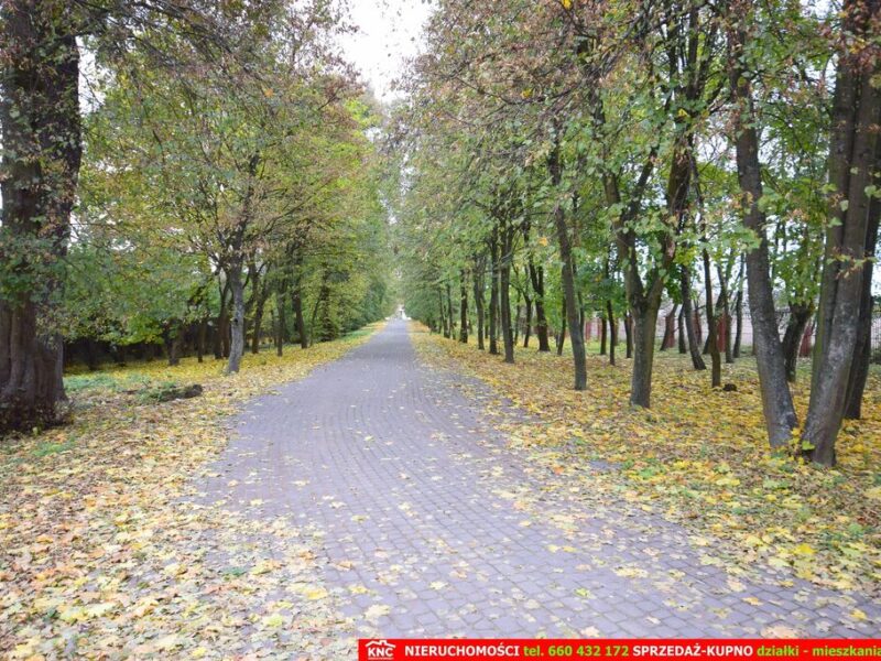 Zabytkowy Zespół Dworsko-Parkowy (XIXw. 1880 r)