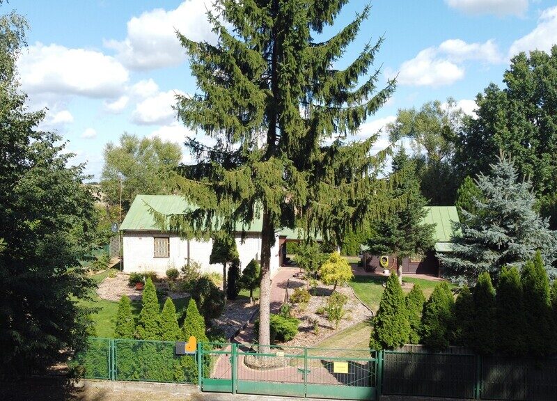 Zaciszne siedlisko w Zawadzie Starej gm. Policzna.