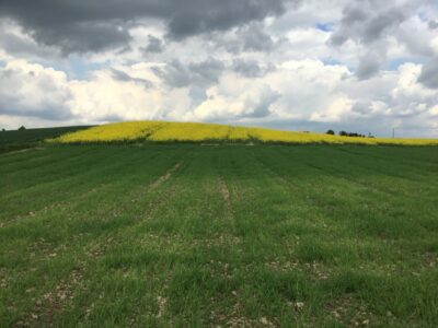 1 ha działka rolna -Kol.Moszna gm.Jastków