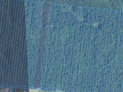 2 działki leśne, 0.81ha, drzewostan 50+, Spiczyn