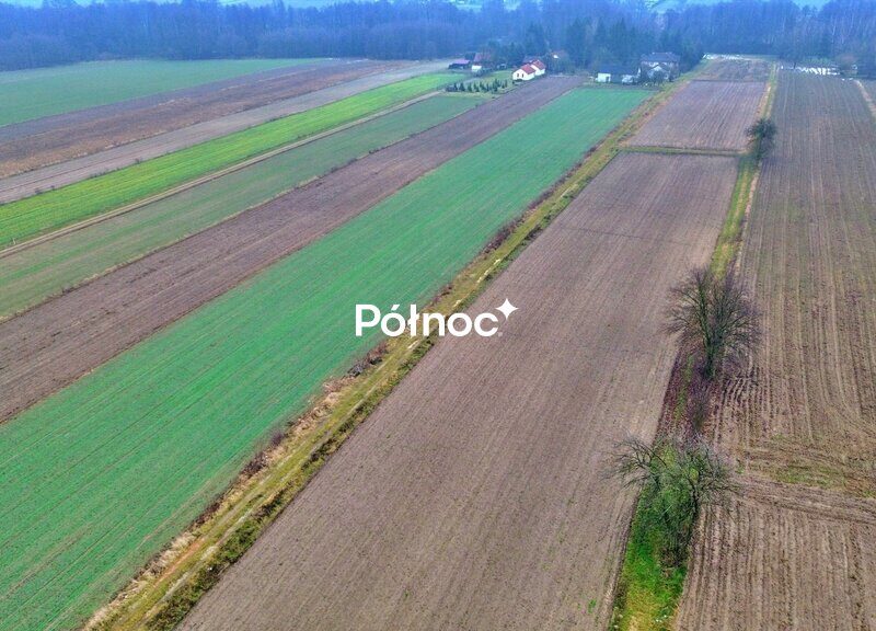 - NIEMCE, LUBELSKIE na SPRZEDAŻ