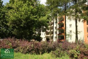 Mieszkanie 4 – pokojowe na sprzedaż – Lublin | ogłoszenia Lubelskie